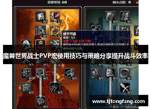 魔兽世界战士PVP宏使用技巧与策略分享提升战斗效率