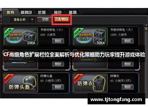 CF高级角色扩展栏位全面解析与优化策略助力玩家提升游戏体验