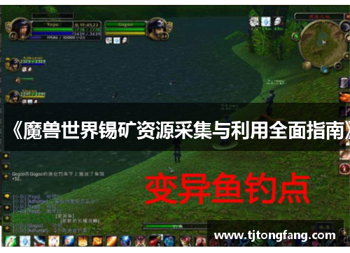 《魔兽世界锡矿资源采集与利用全面指南》